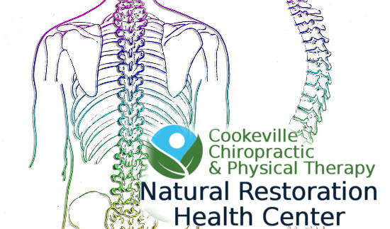 Bulging Disc | Degenerative Disc Spine Cookeville